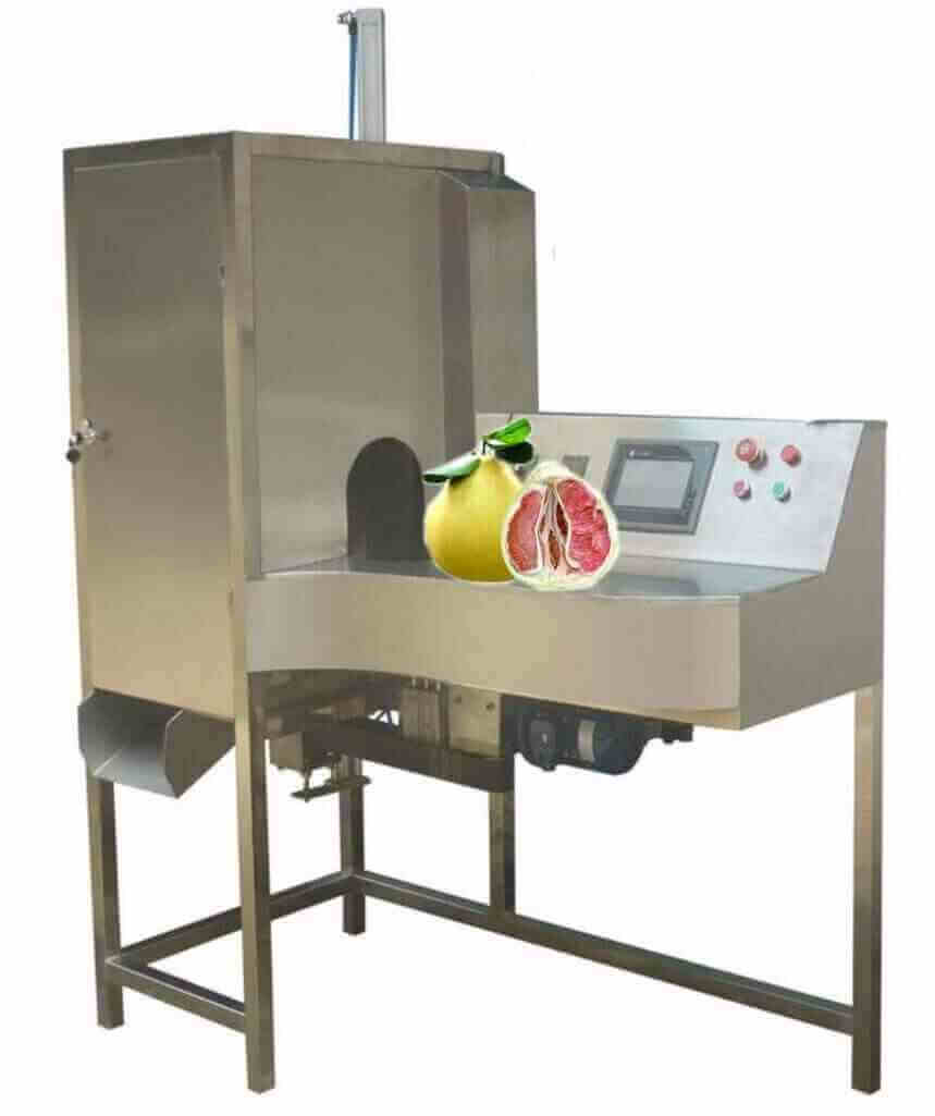 Obst-Gemüse-Schälmaschine