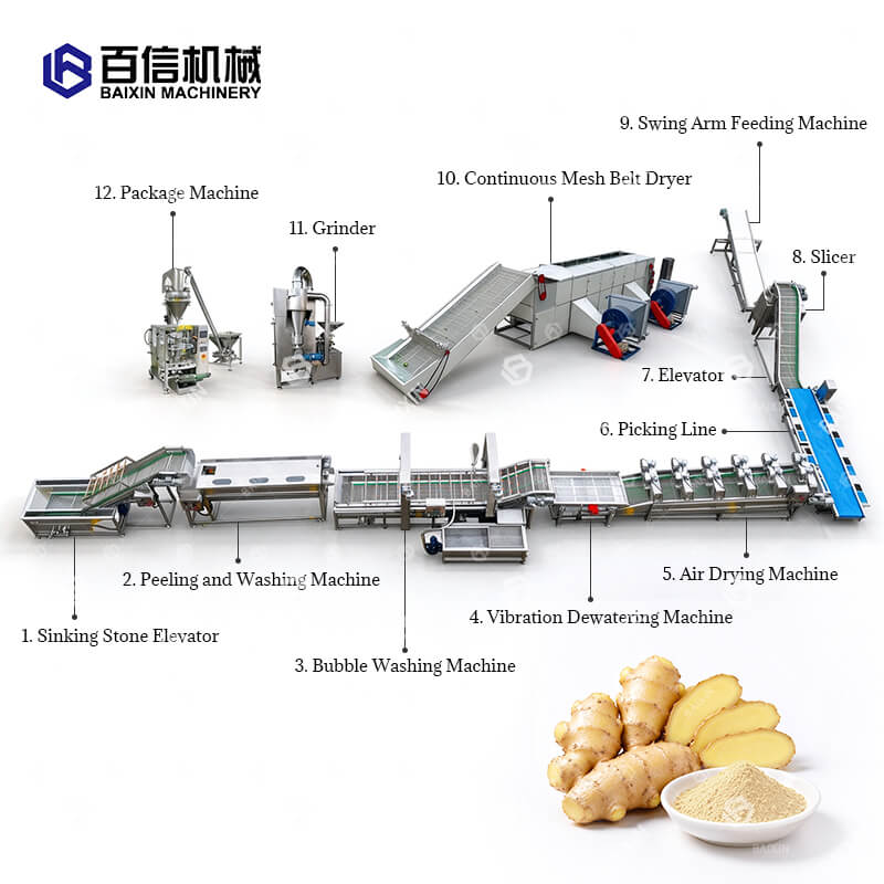 Automatic Ginger Production Line
