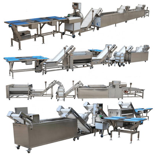 Ligne de transformation de fruits et légumes