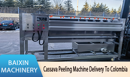 Cassava Peeling Machine and Sorting Line Were Successfully Shipped to Colombia