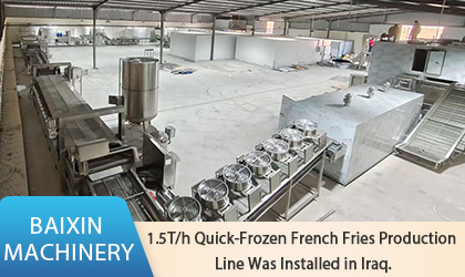 Installation réussie de la ligne de production de frites surgelées d'une capacité de 1.5 tonne par heure en Irak