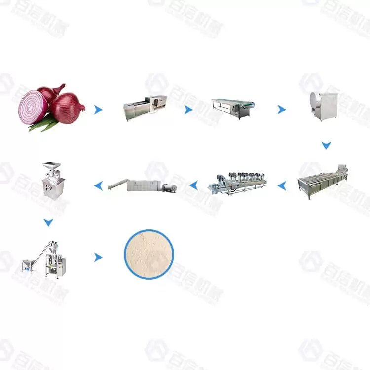 Ligne de production automatique d'oignons