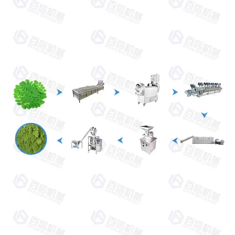 Ligne de production automatique de feuilles de Moringa