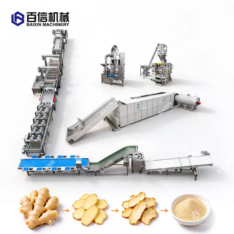 Semi-automatic Ginger Production Line