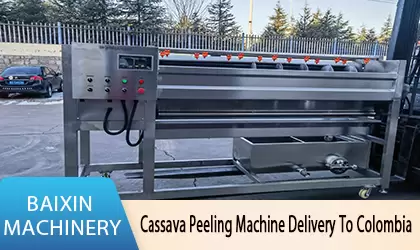 Cassava Peeling Machine and Sorting Line Were Successfully Shipped to Colombia