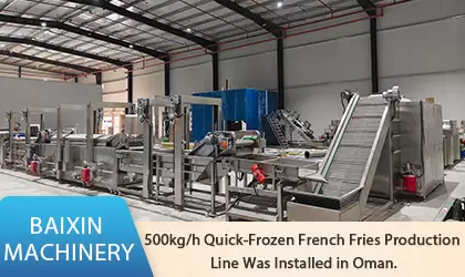 500kg/h Quick-Frozen French Fries Production Line Was Successfully Installed in Oman
