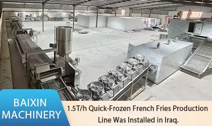 Iraq's 1.5TPH Quick-Frozen French Fries Production Line Successfully Installed