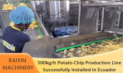 500kg/h Potato Chip Production Line Installed in Ecuador